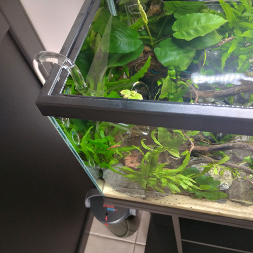 Aquarium 80l + meuble parfait état