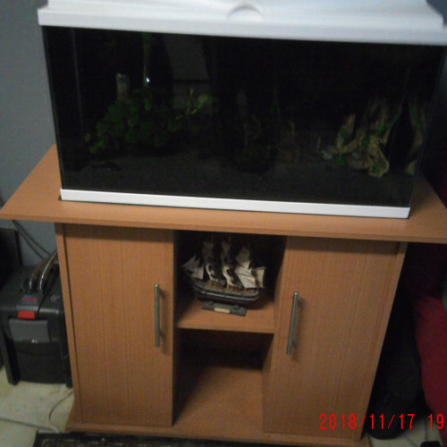 donne aquarium 80l