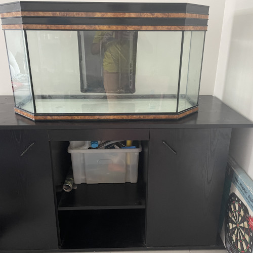 Vends aquarium avec son meuble