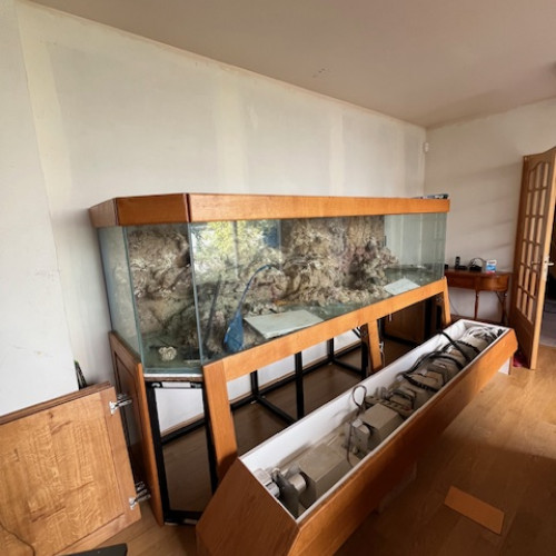 Aquarium 1500L à vendre