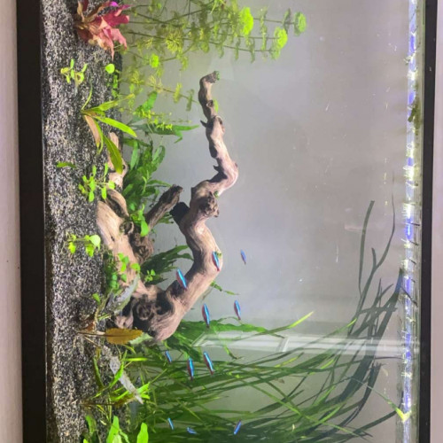 Aquarium 150 l