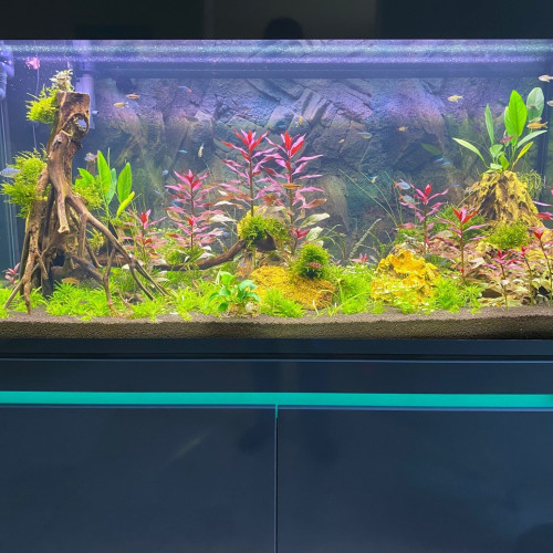 Rampe Led Aquarium+ bloc alimentation