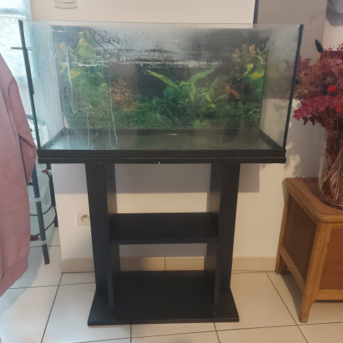 Aquarium de 70 litres