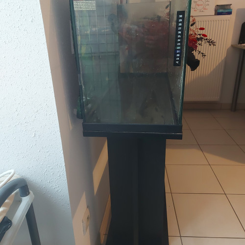 Aquarium de 70 litres