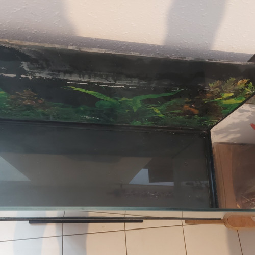 Aquarium de 70 litres