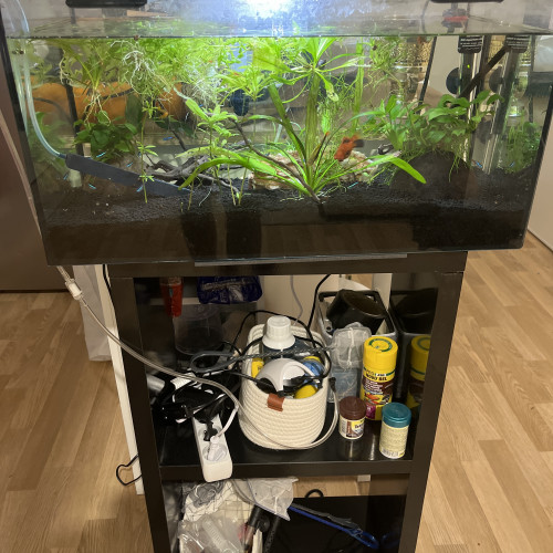 Aquarium 60 litres avec meuble