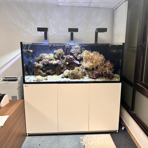 Aquarium 625 litres