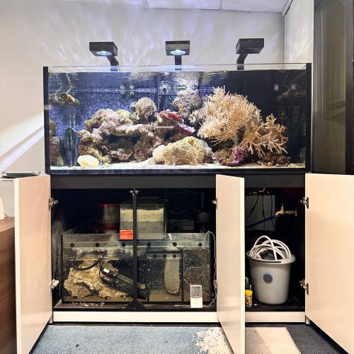 Aquarium 625 litres