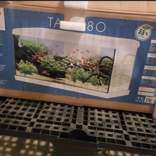 Aquarium Tana 80l blanc