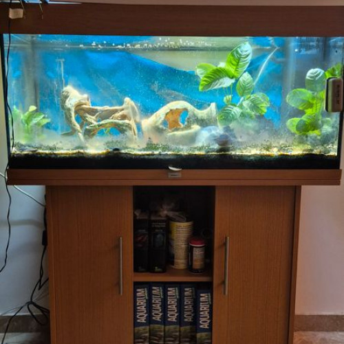 Aquarium Juwel Rio 120 avec meuble et accessoires