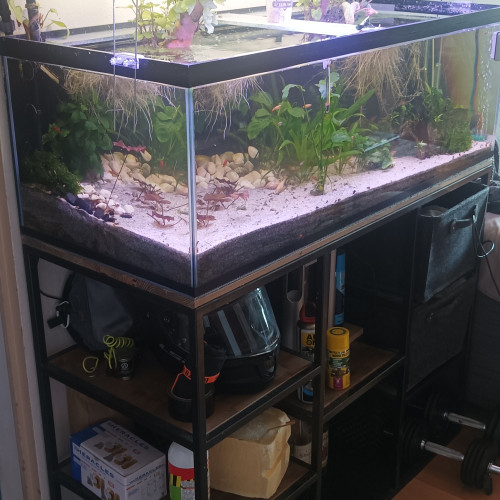 Aquarium complet et meuble