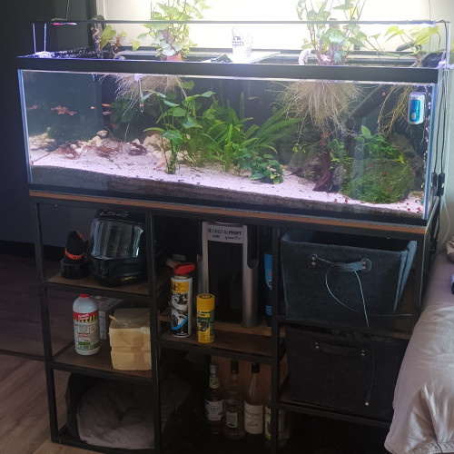 Aquarium complet et meuble