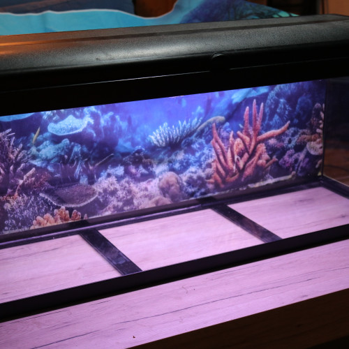 Aquarium 120 litres complète avec équipements