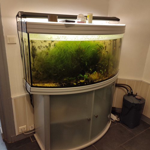 Urgent aquarium à vendre