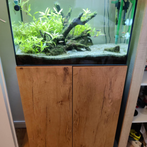 Aquarium et équipements à vendre