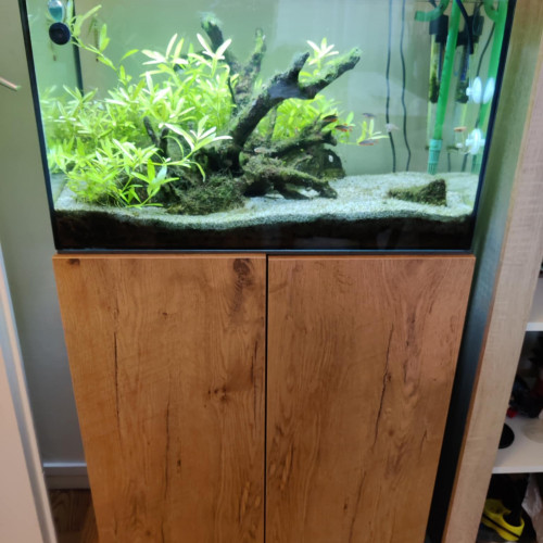 Aquarium et équipements à vendre