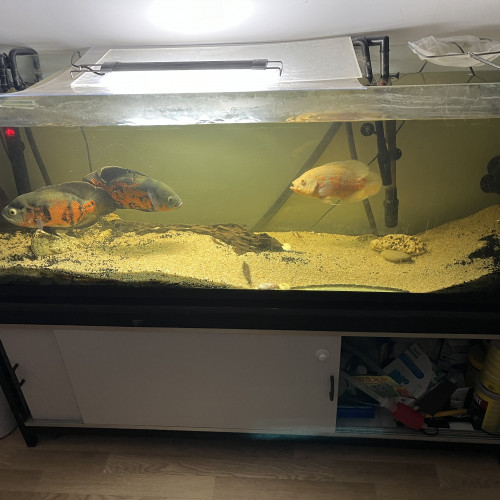 Aquarium 400 litres