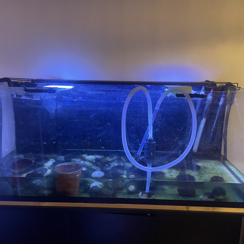 Cuve 240 l à vendre