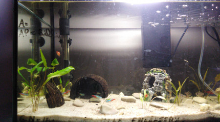aquarium Mon 49L