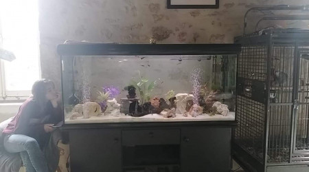 aquarium Général 500litres