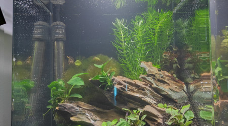 aquarium Nano1