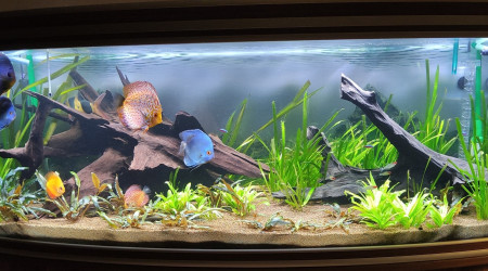 aquarium Aquatlantis