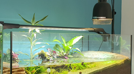 Aquaterrarium noir 100 cm équipé aquarium tortue d'eau cielterre-commerce -  Ciel & terre