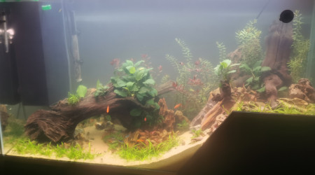 aquarium 220l