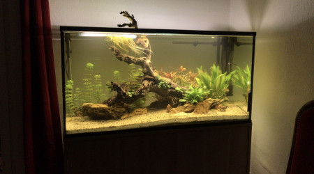 aquarium 300L