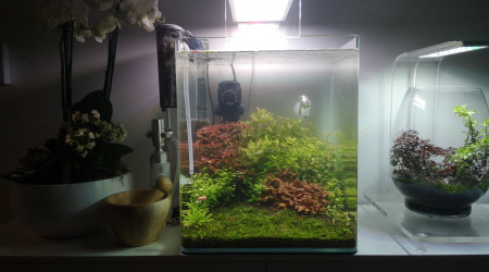 aquarium Nano