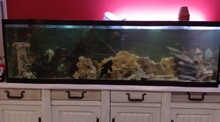 aquarium Vaguo71