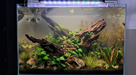 aquarium 96 litres