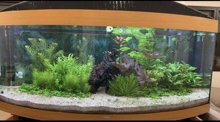 aquarium Juwel 450L