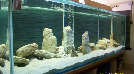 aquarium 2500 litres ranganyika