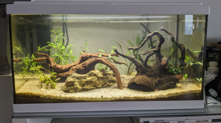 aquarium 60L