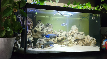 aquarium 400l