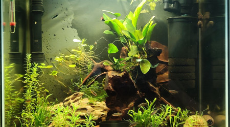 aquarium Nano 45l