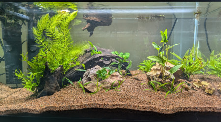 aquarium 60 Litres Noir