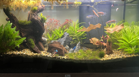 aquarium 200l