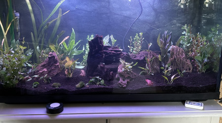 aquarium 200 Litres