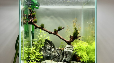 aquarium 80l