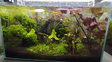 aquarium Scaper 90l