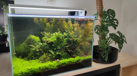 aquarium 60l