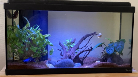 aquarium 60L Led