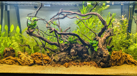 aquarium Rio 350