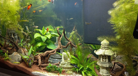 aquarium 200l