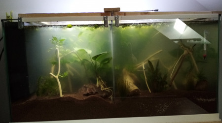 aquarium Aquarium feel good 76L