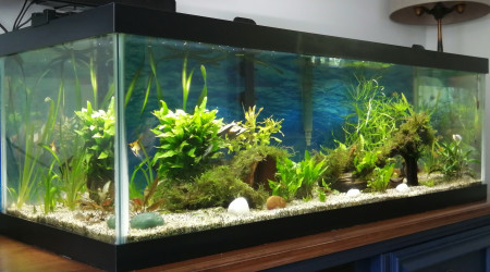 aquarium Aqueon