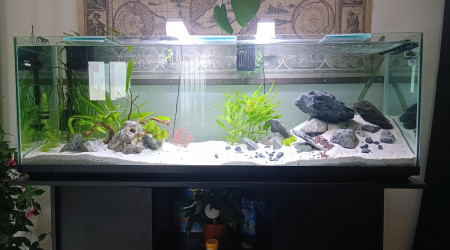 aquarium Bac 300l