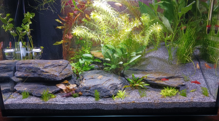 aquarium 70L